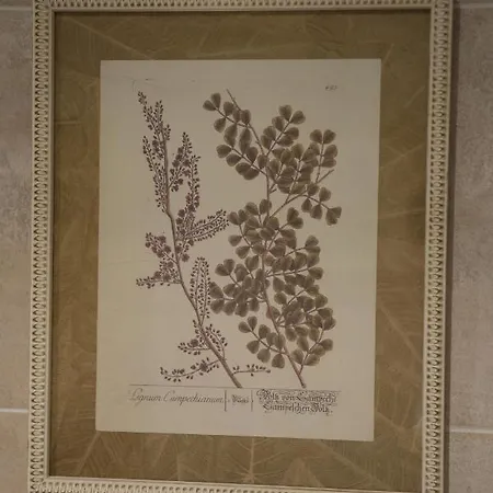 Holiday home Vivienda Uso Turistico Prado Novo *