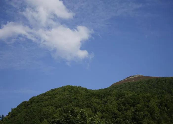 Vivienda Uso Turistico Prado Novo