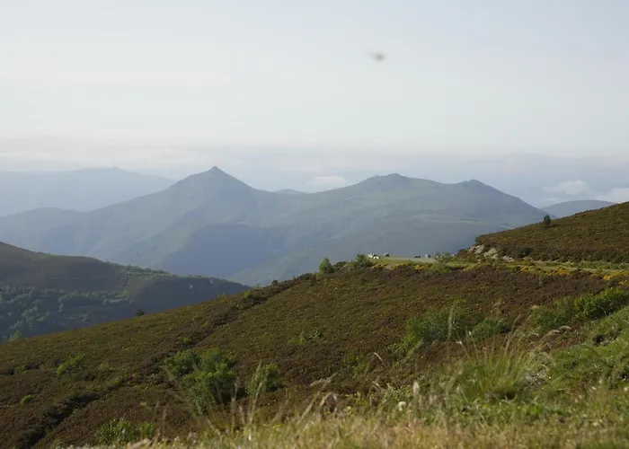 Vivienda Uso Turistico Prado Novo 펜션 Suarbol
